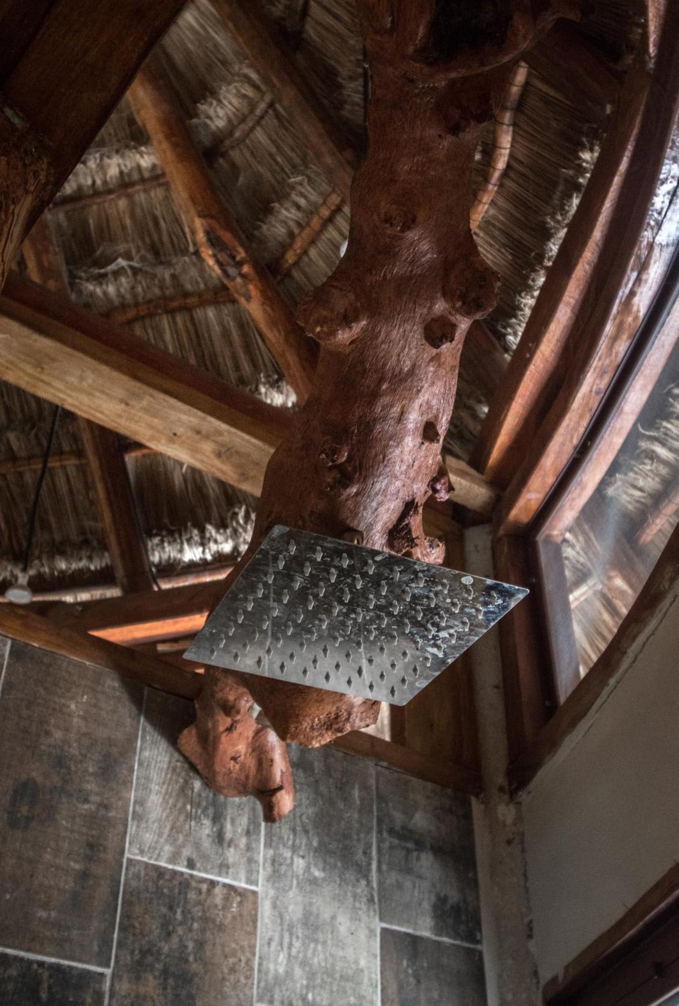 Pepem Holistic Experience - Peaceful Retreat Near Tulum (Adults Only) Villa Eksteriør billede