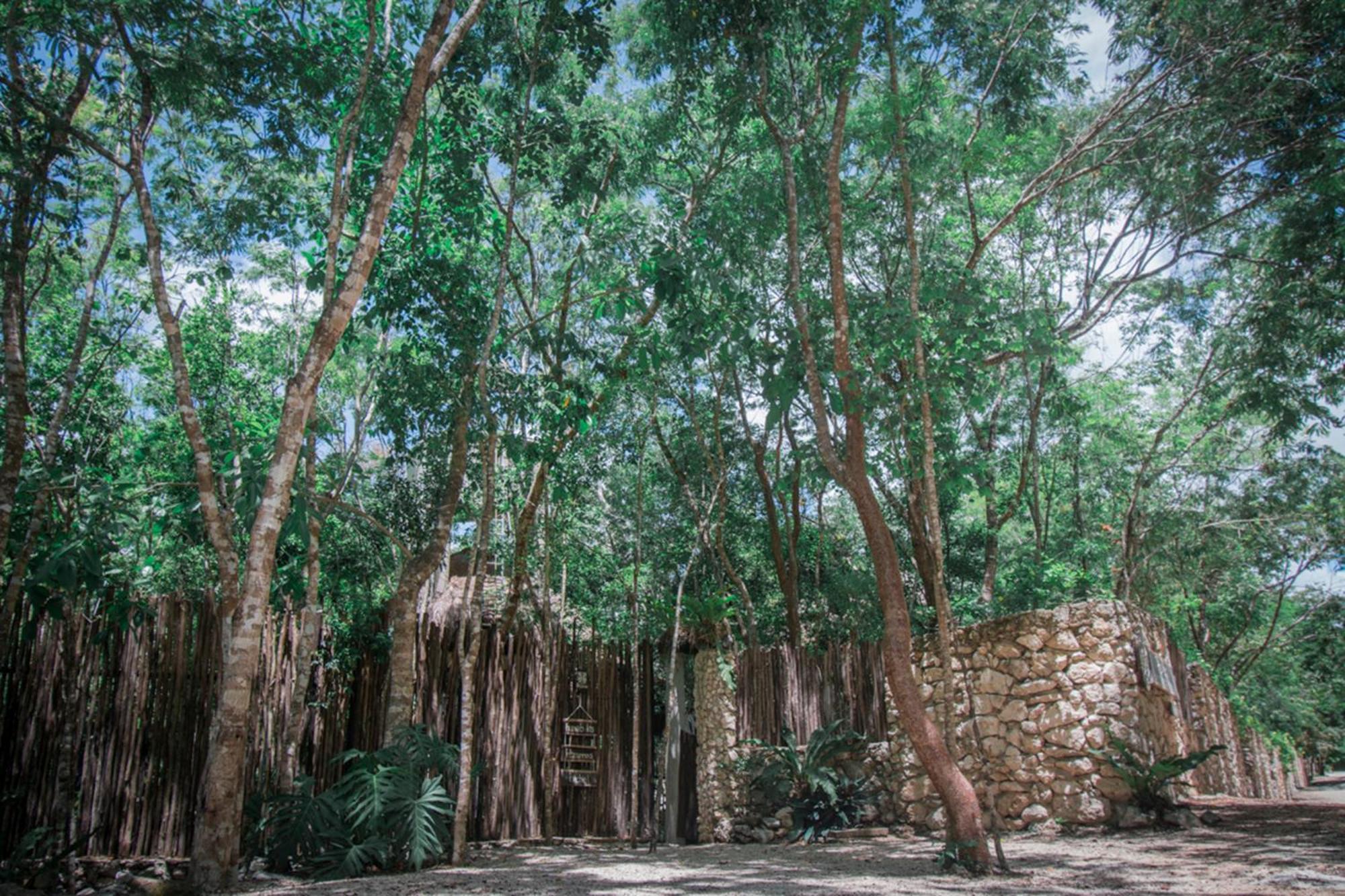 Pepem Holistic Experience - Peaceful Retreat Near Tulum (Adults Only) Villa Eksteriør billede