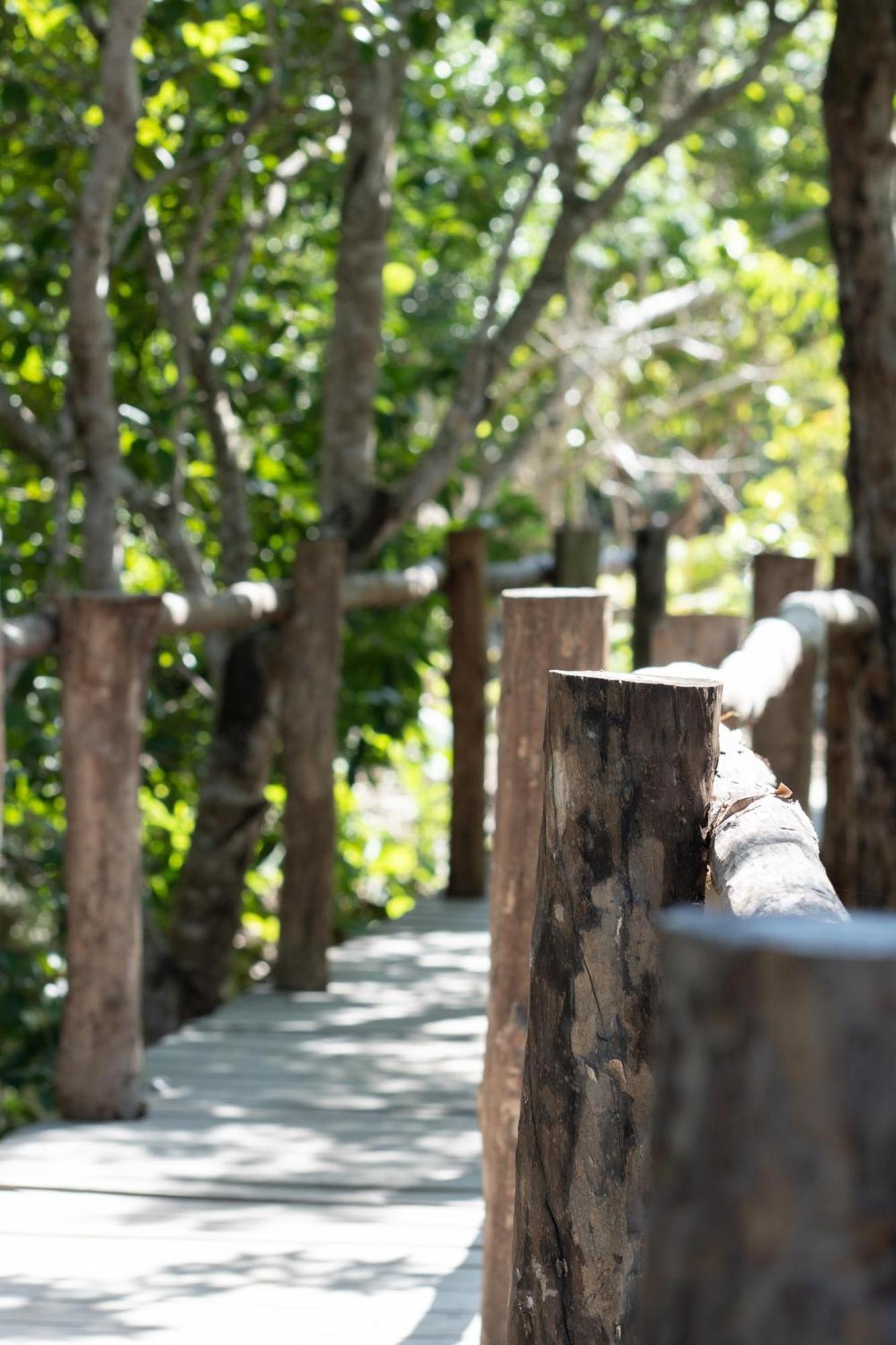 Pepem Holistic Experience - Peaceful Retreat Near Tulum (Adults Only) Villa Eksteriør billede