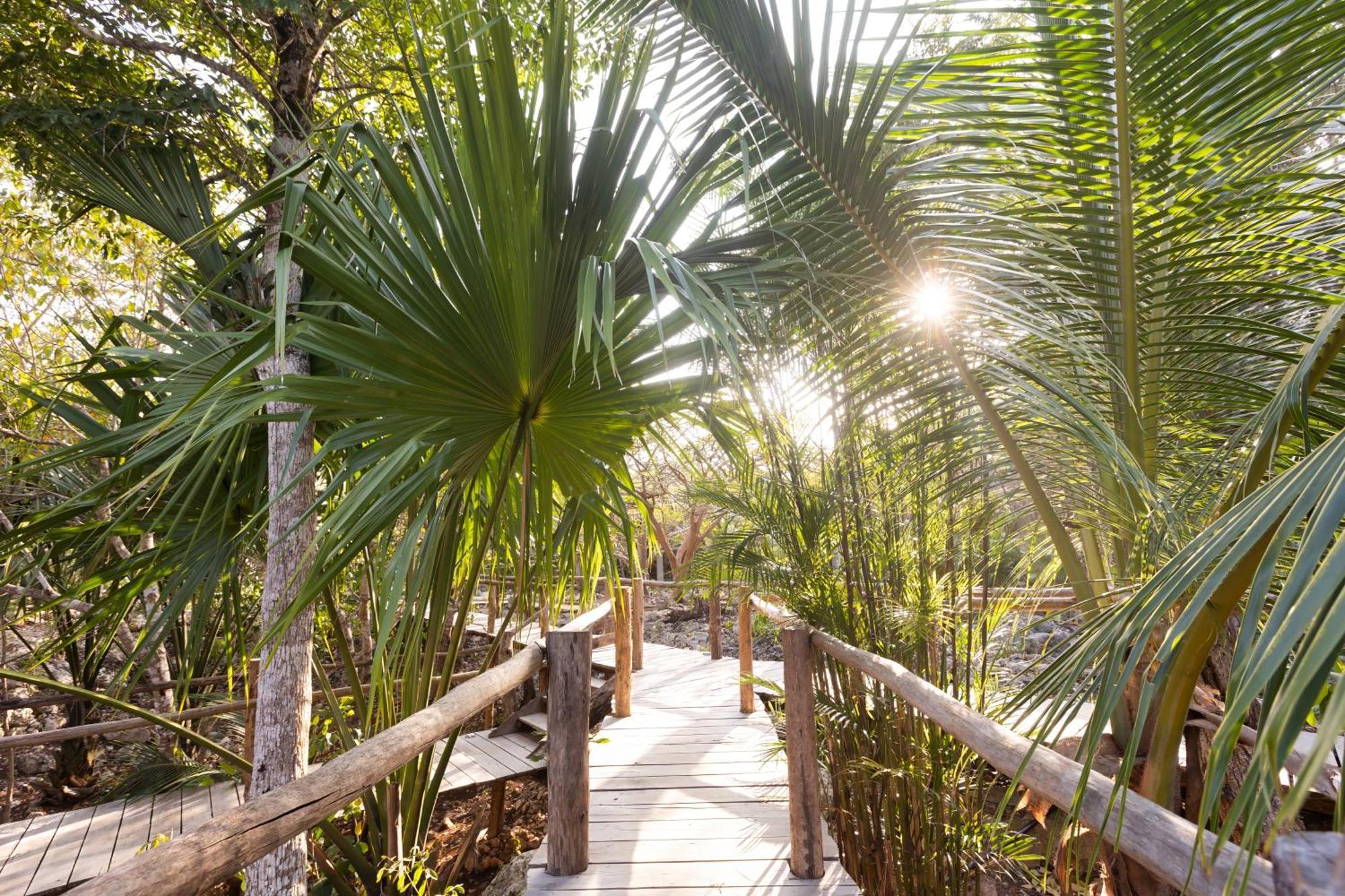 Pepem Holistic Experience - Peaceful Retreat Near Tulum (Adults Only) Villa Eksteriør billede